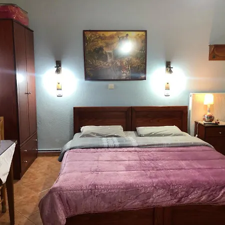 Πανσιόν Alexandros Όρμα