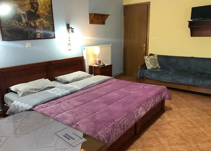 Πανσιόν Alexandros Όρμα