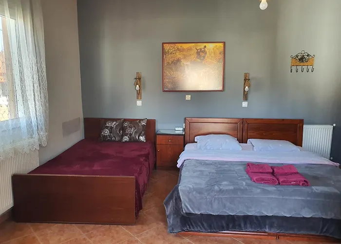 Alexandros Πανσιόν Όρμα