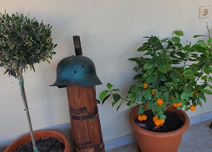 Alexandros Πανσιόν